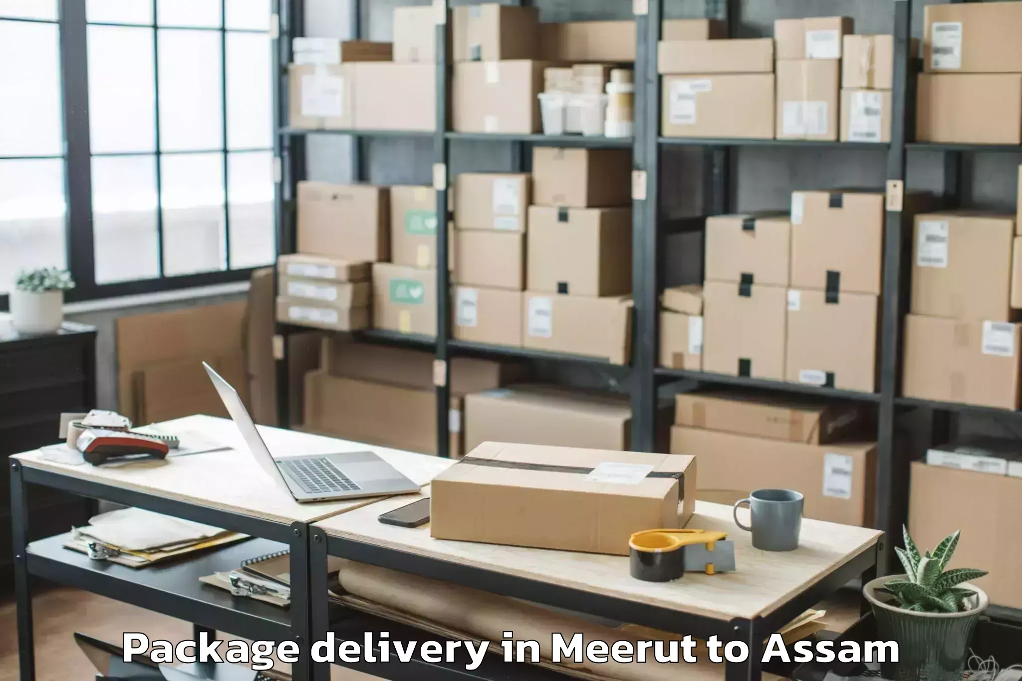 Quality Meerut to Kharupatia Package Delivery